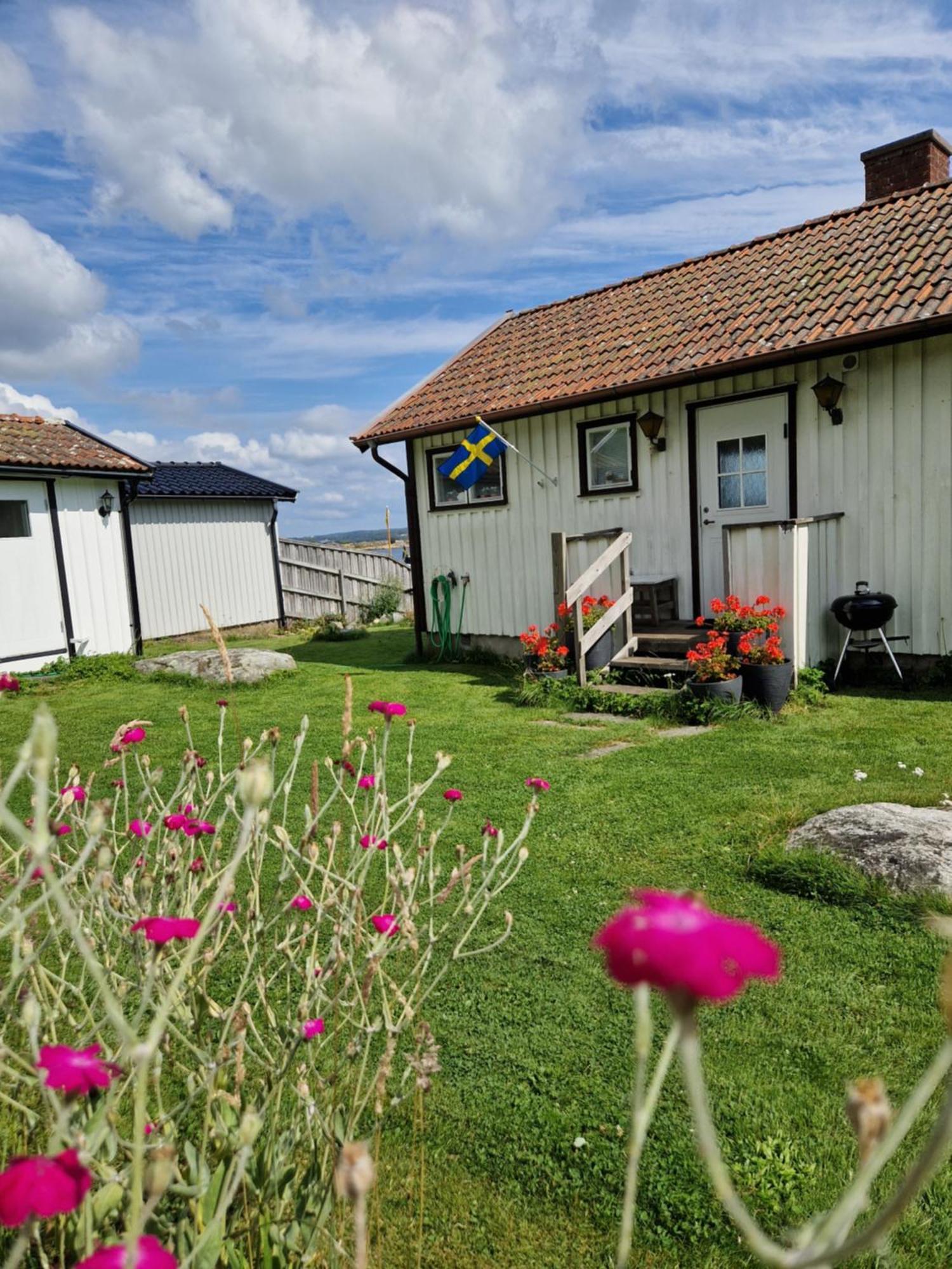 Cabin At The Sea Close To Public Beach With A Jumpingtower Hoviksnas Exterior photo